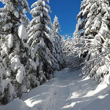 Adlerhorst * Baiersbronn